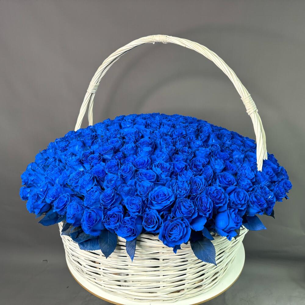 Корзина из 301 синей розы