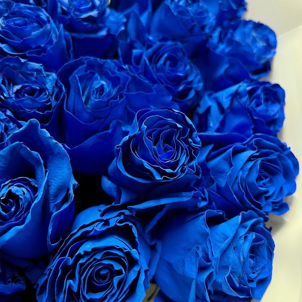 Букет из 51 синей розы