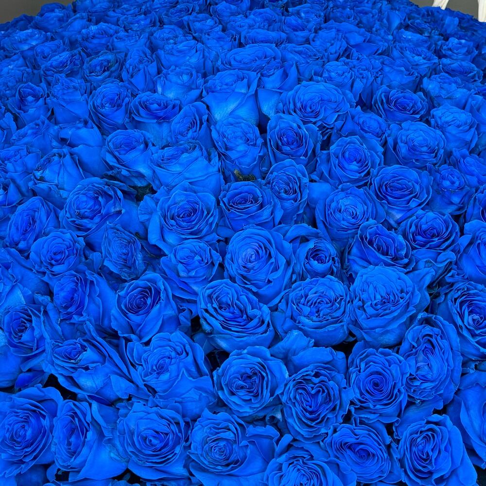 Корзина из 301 синей розы