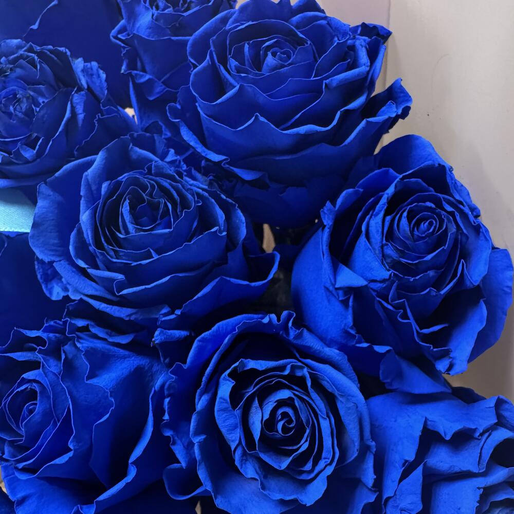 Букет из 17 синих роз