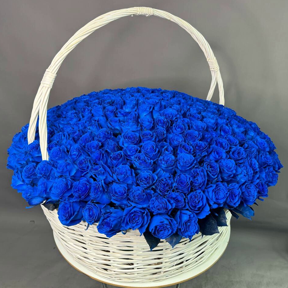 Корзина из 301 синей розы