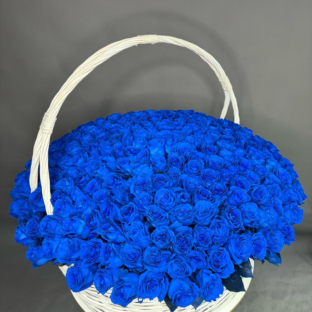 Корзина из 301 синей розы