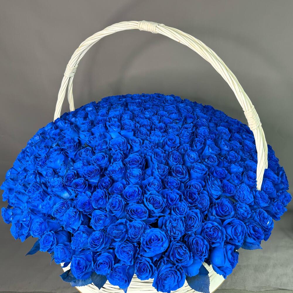 Корзина из 301 синей розы