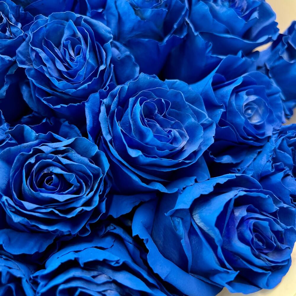 Букет из 35 синих роз